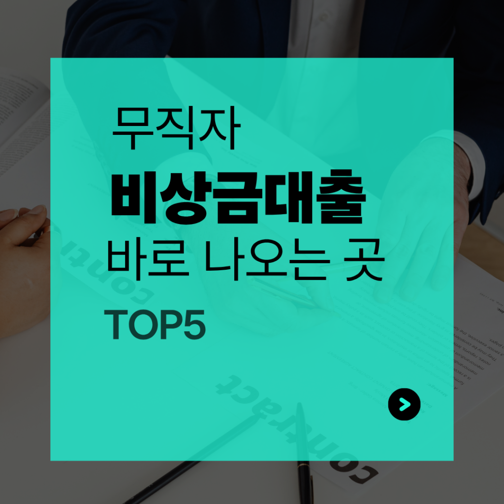 무직자 비상금대출