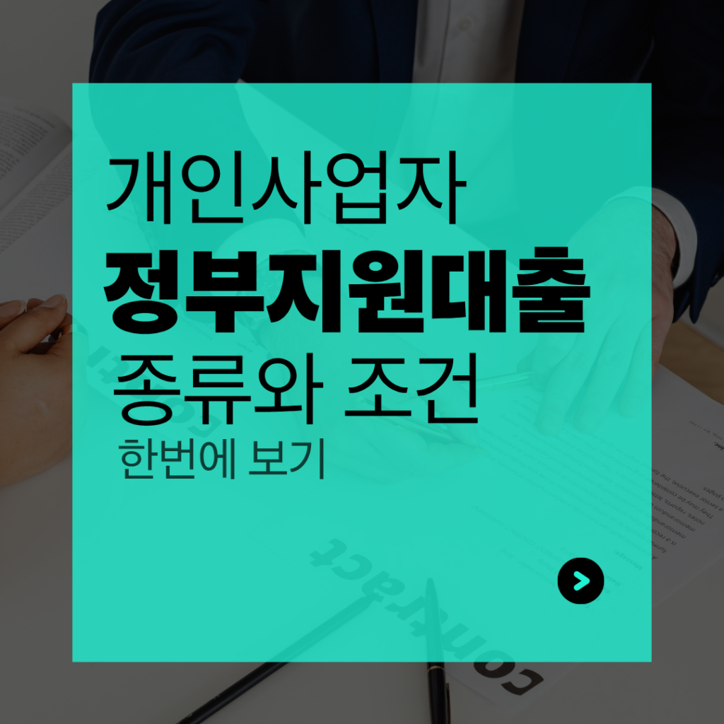 개인사업자 정부지원대출
