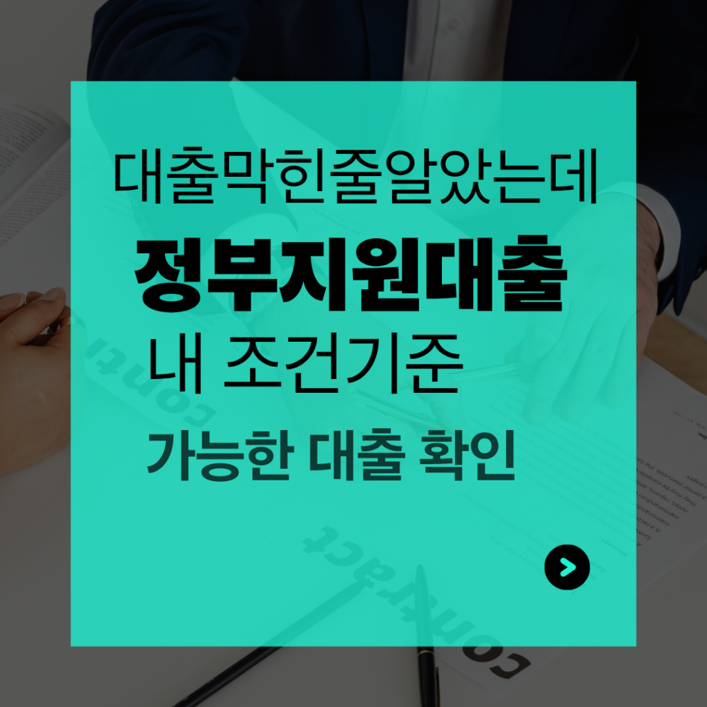 정부지원 대출