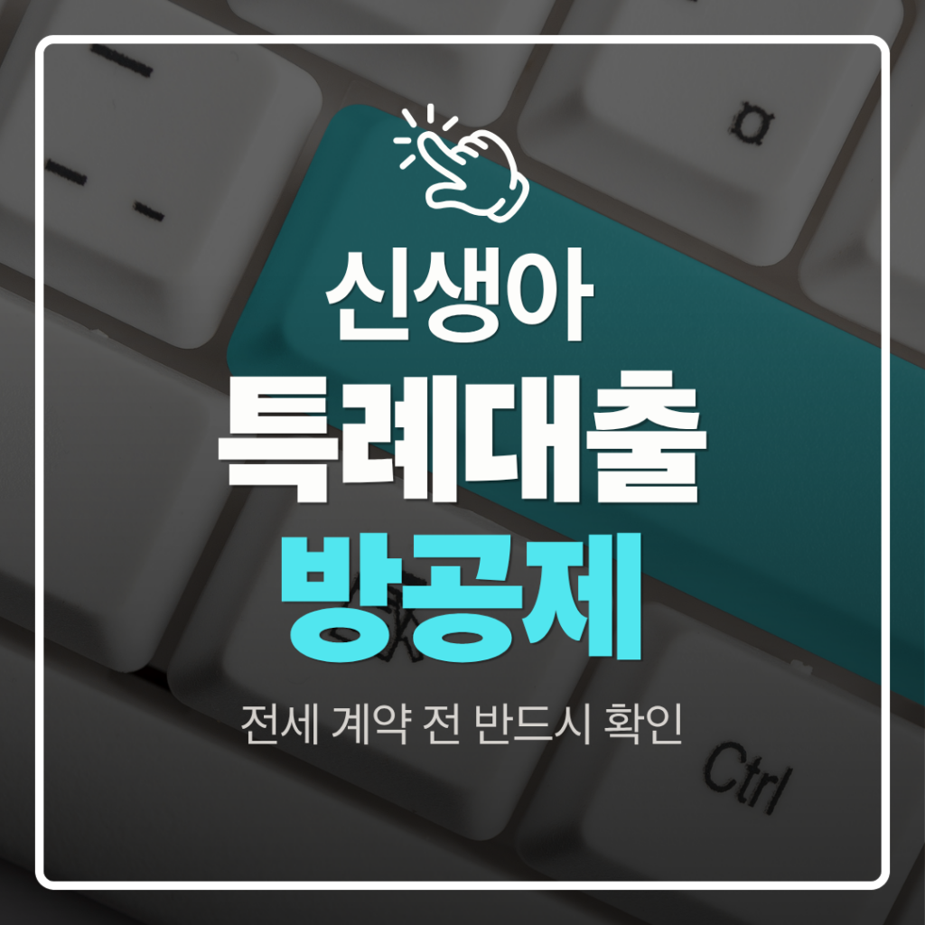 신생아 특례대출 방공제